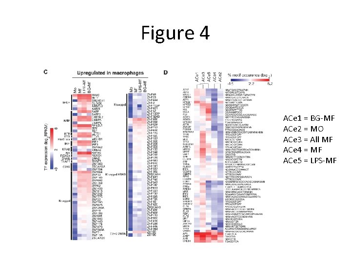 Figure 4 ACe 1 = BG-MF ACe 2 = MO ACe 3 = All
