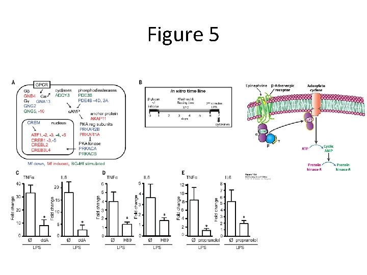 Figure 5 