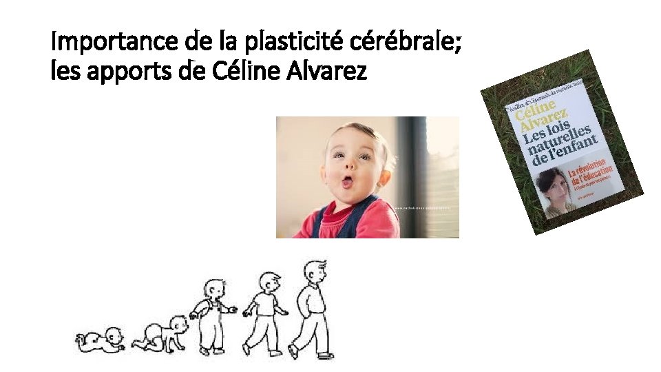 Importance de la plasticité cérébrale; les apports de Céline Alvarez 