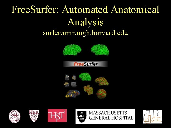Free. Surfer: Automated Anatomical Analysis surfer. nmr. mgh. harvard. edu 