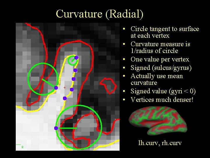 Curvature (Radial) • Circle tangent to surface at each vertex • Curvature measure is