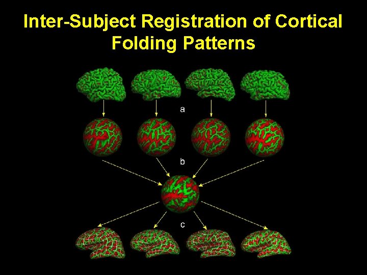 Inter-Subject Registration of Cortical Folding Patterns 