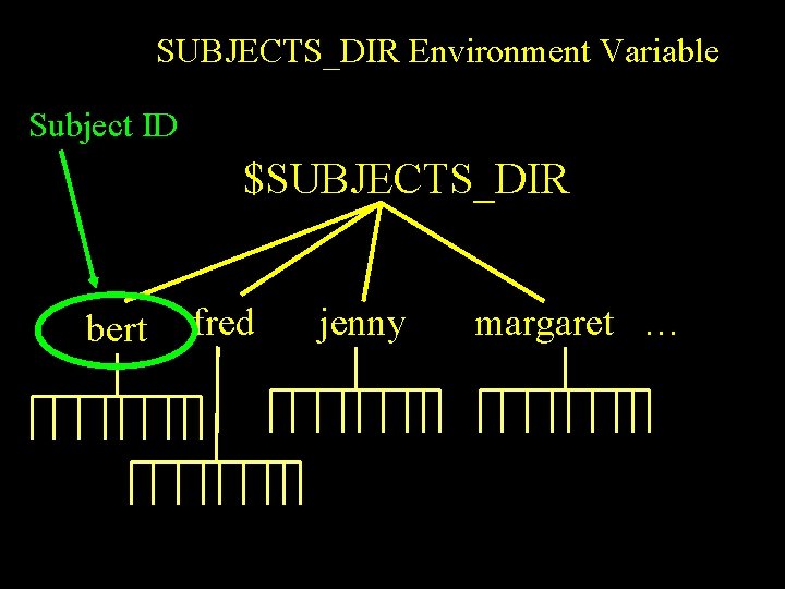 SUBJECTS_DIR Environment Variable Subject ID $SUBJECTS_DIR bert fred jenny margaret … 