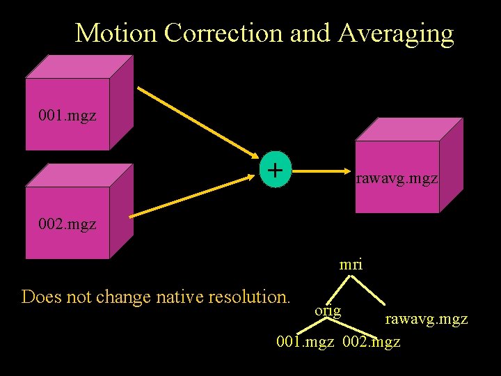 Motion Correction and Averaging 001. mgz + rawavg. mgz 002. mgz mri Does not