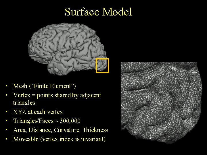 Surface Model • Mesh (“Finite Element”) • Vertex = points shared by adjacent triangles
