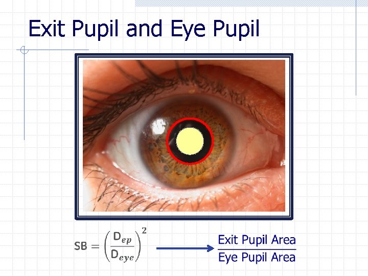 Exit Pupil and Eye Pupil 