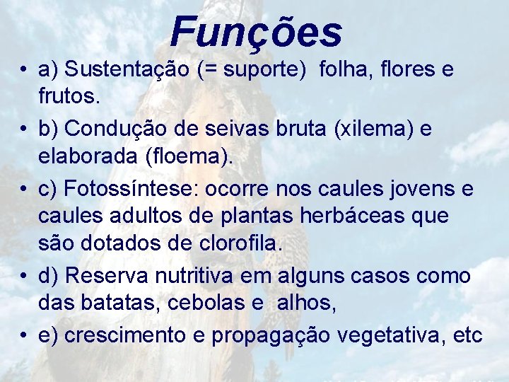 Funções • a) Sustentação (= suporte) folha, flores e frutos. • b) Condução de