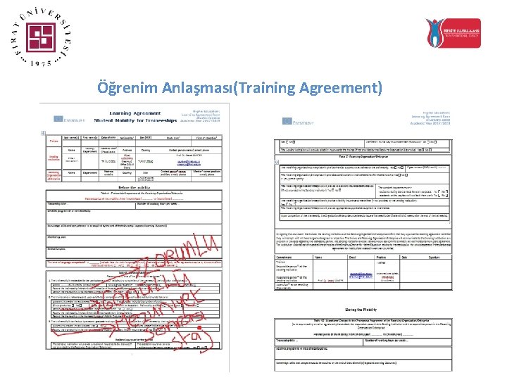 Öğrenim Anlaşması(Training Agreement) 