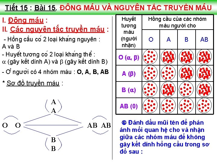 Tiết 15 : Bài 15. ĐÔNG MÁU VÀ NGUYÊN TẮC TRUYỀN MÁU I. Đông