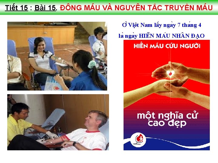 Tiết 15 : Bài 15. ĐÔNG MÁU VÀ NGUYÊN TẮC TRUYỀN MÁU Ơ Viê