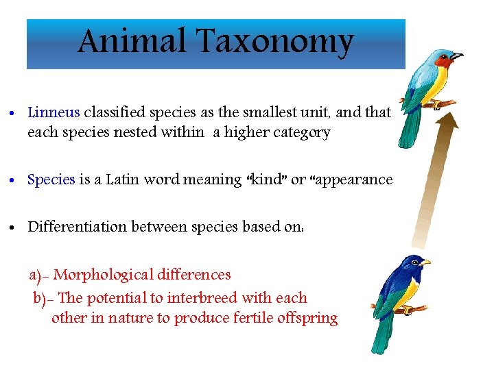 Animal Taxonomy • Linneus classified species as the smallest unit, and that each species