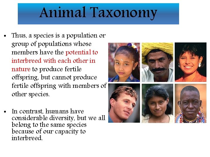 Animal Taxonomy • Thus, a species is a population or group of populations whose