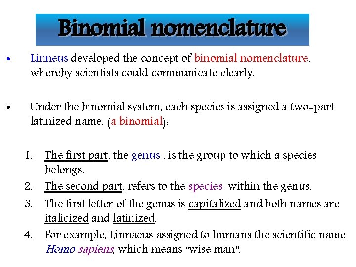 Binomial nomenclature • Linneus developed the concept of binomial nomenclature, whereby scientists could communicate