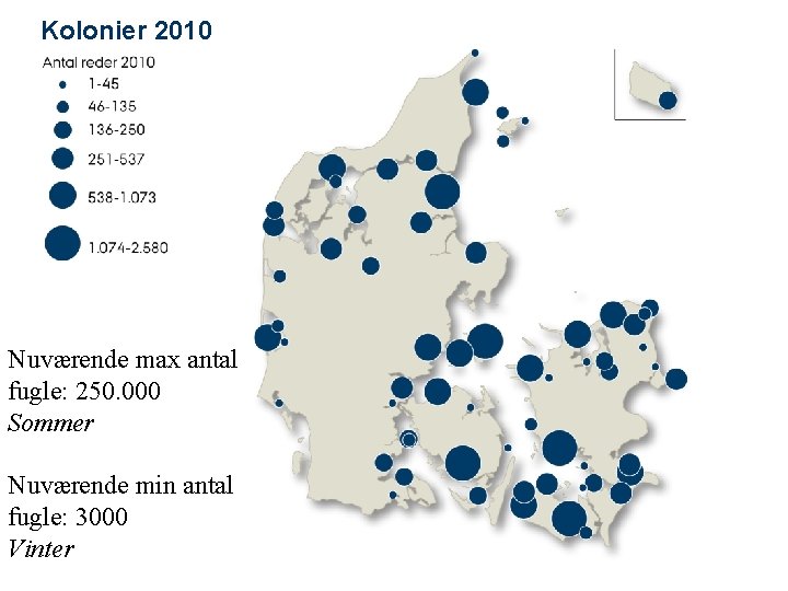 Kolonier 2010 Nuværende max antal fugle: 250. 000 Sommer Nuværende min antal fugle: 3000