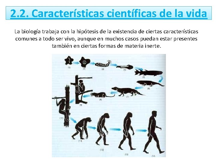 2. 2. Características científicas de la vida La biología trabaja con la hipótesis de