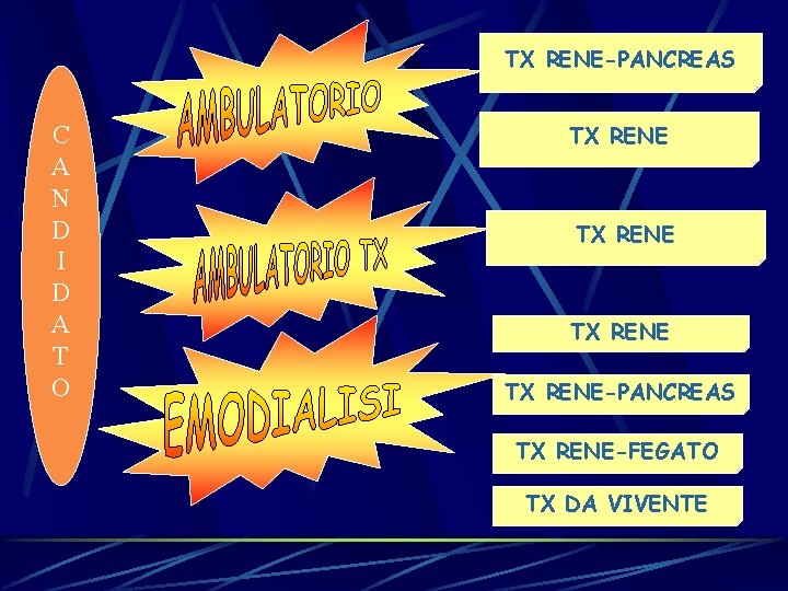 TX RENE-PANCREAS C A N D I D A T O TX RENE-PANCREAS TX TX RENE-PANCREAS C A N D I D A T O TX RENE-PANCREAS TX