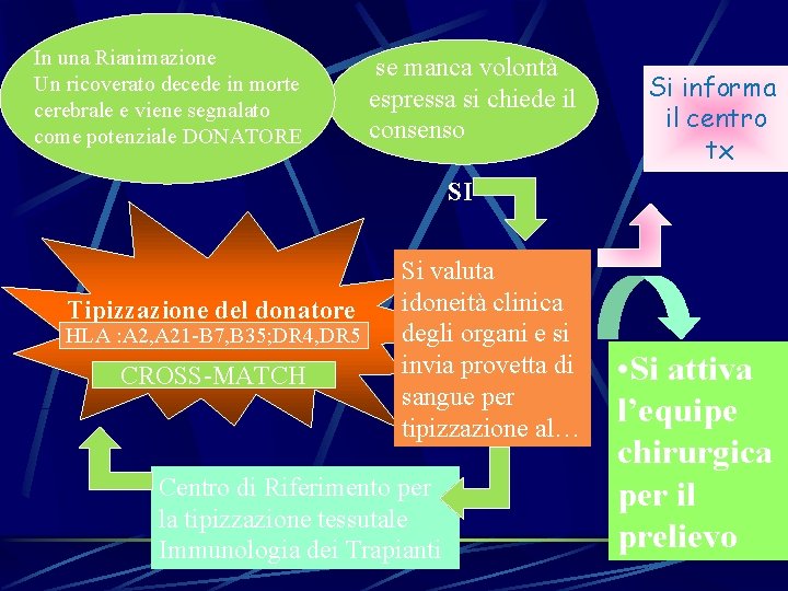 In una Rianimazione Un ricoverato decede in morte cerebrale e viene segnalato come potenziale In una Rianimazione Un ricoverato decede in morte cerebrale e viene segnalato come potenziale