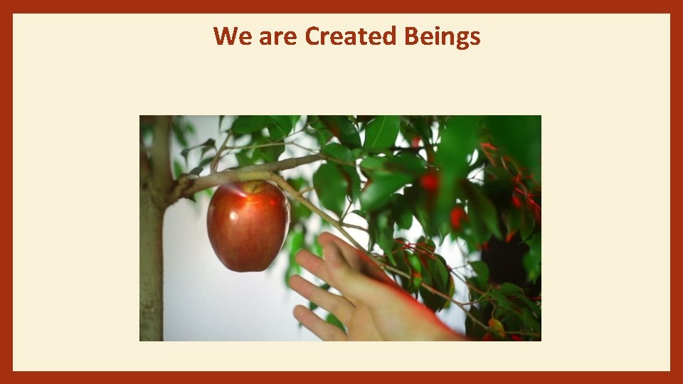 We are Created Beings 