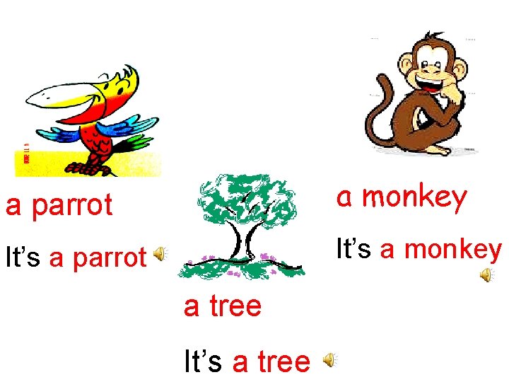 a parrot a monkey It’s a parrot It’s a monkey a tree It’s a