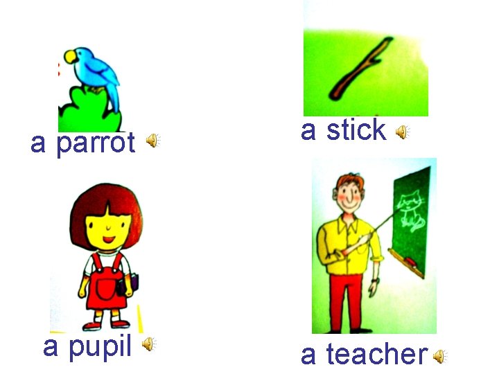 a parrot a pupil a stick a teacher 