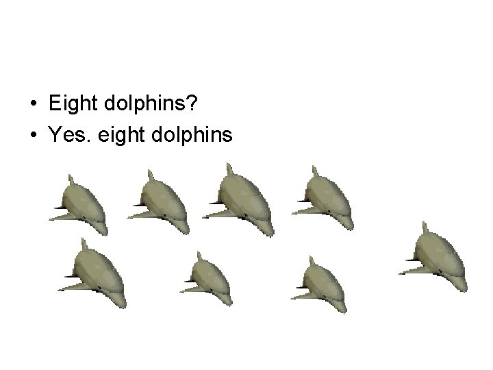  • Eight dolphins? • Yes. eight dolphins 