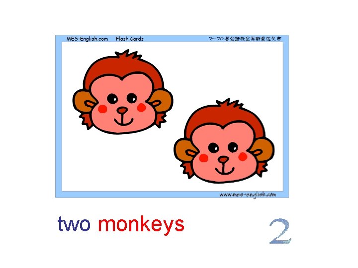 two monkeys 