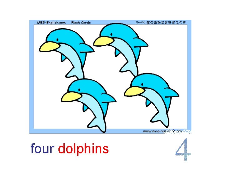 four dolphins 