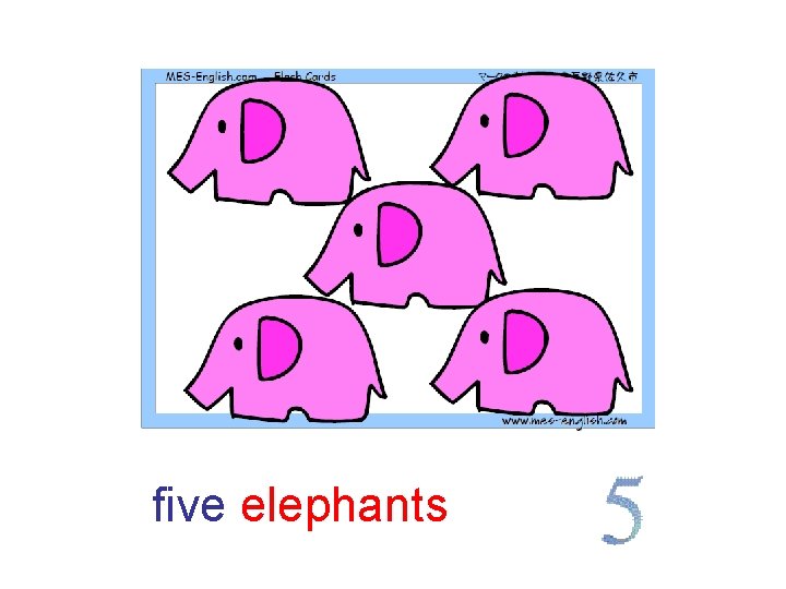 five elephants 