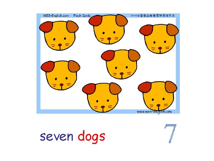 seven dogs 