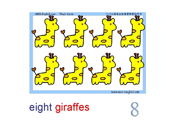 eight giraffes 