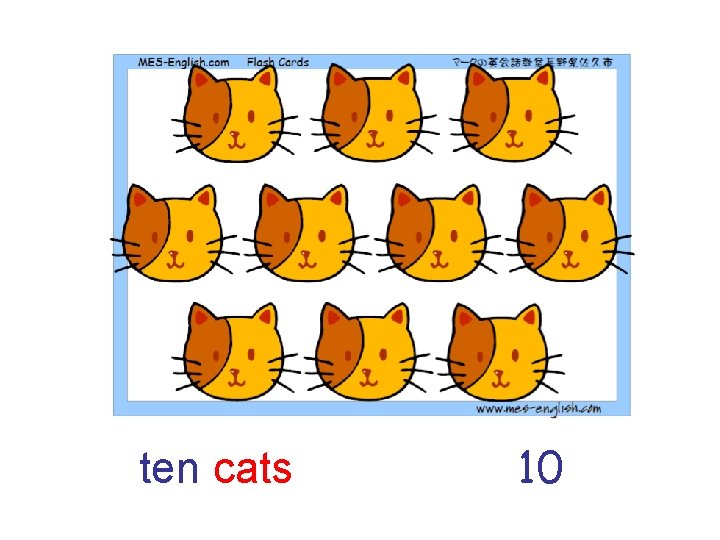 ten cats 10 