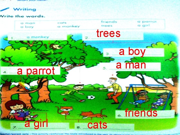 trees a boy a man a parrot a girl cats friends 
