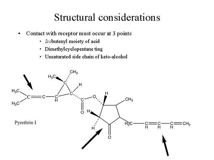 Structural considerations • Contact with receptor must occur at 3 points • Isobutenyl moiety