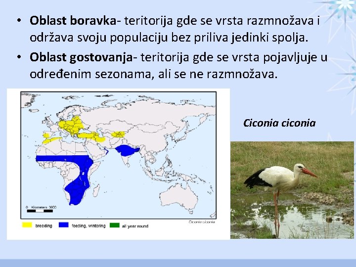  • Oblast boravka- teritorija gde se vrsta razmnožava i održava svoju populaciju bez