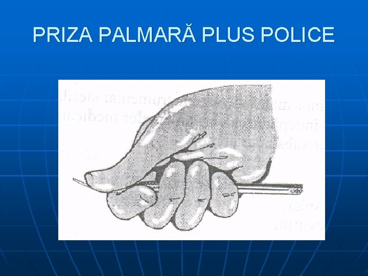 PRIZA PALMARĂ PLUS POLICE 