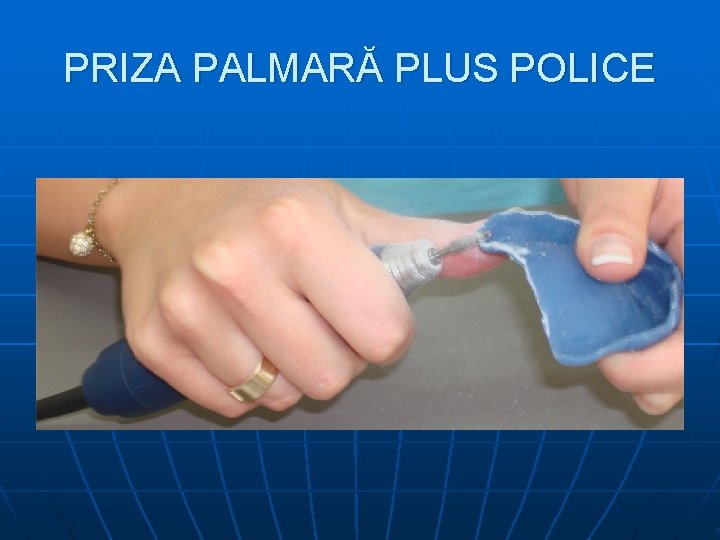 PRIZA PALMARĂ PLUS POLICE 