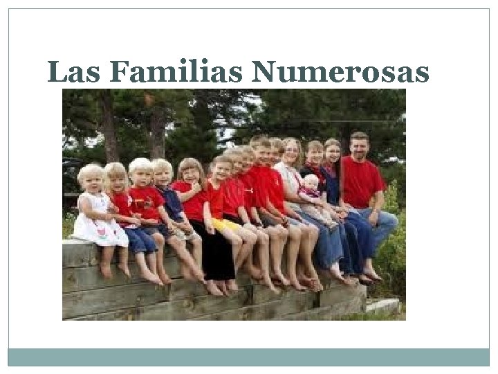 Las Familias Numerosas 