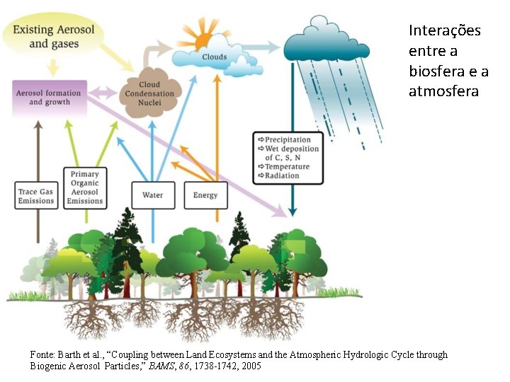 Interações entre a biosfera e a atmosfera Fonte: Barth et al. , “Coupling between