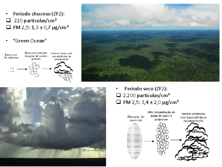 • Período chuvoso (ZF 2): q 220 partículas/cm³ q PM 2, 5: 1,