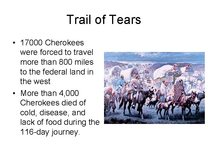 Trail of Tears • 17000 Cherokees were forced to travel more than 800 miles
