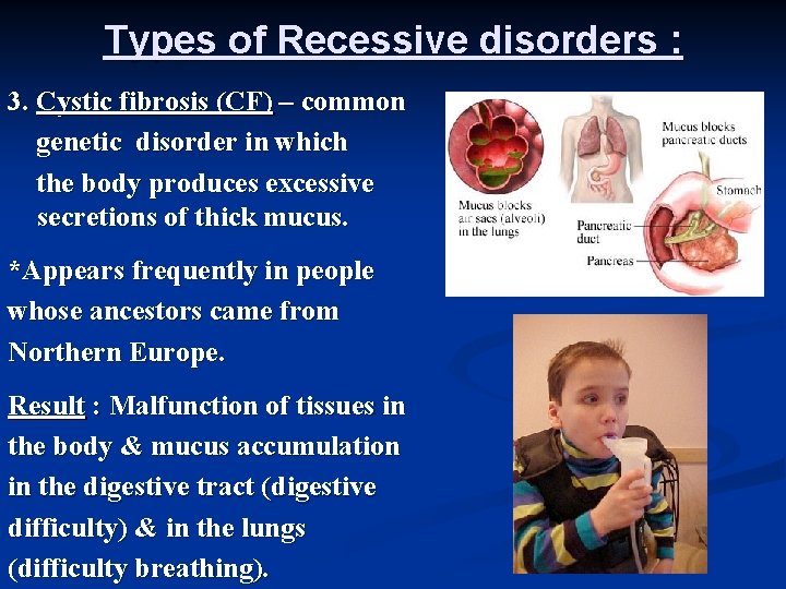 Types of Recessive disorders : 3. Cystic fibrosis (CF) – common genetic disorder in