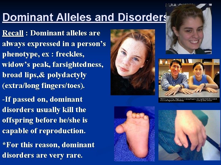 Dominant Alleles and Disorders Recall : Dominant alleles are always expressed in a person’s