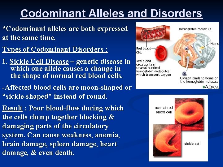 Codominant Alleles and Disorders *Codominant alleles are both expressed at the same time. Types