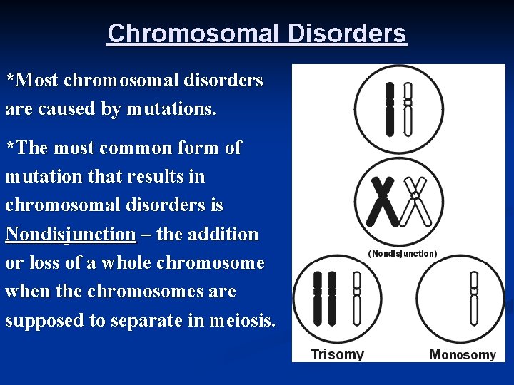 Chromosomal Disorders *Most chromosomal disorders are caused by mutations. *The most common form of