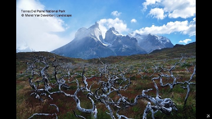 Torres Del Paine National Park © Merel Van Deventer| Landscape 26 