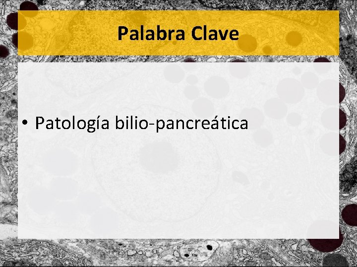 Palabra Clave • Patología bilio-pancreática 