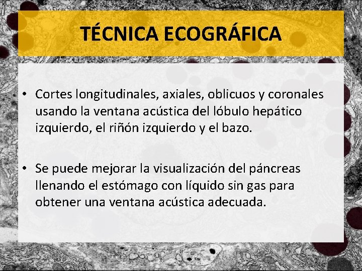 TÉCNICA ECOGRÁFICA • Cortes longitudinales, axiales, oblicuos y coronales usando la ventana acústica del