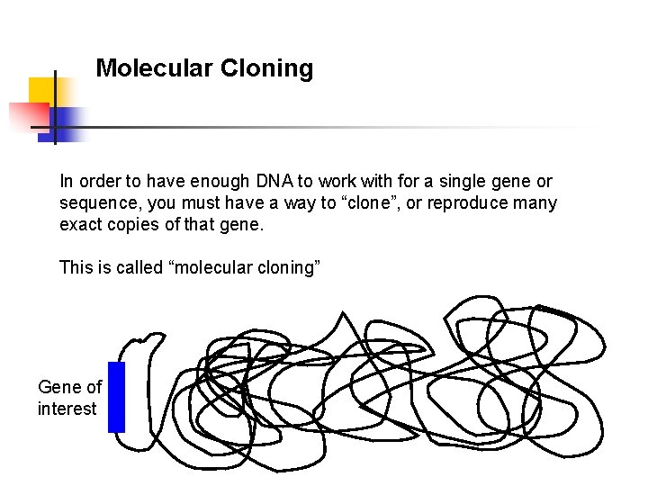 Molecular Cloning In order to have enough DNA to work with for a single
