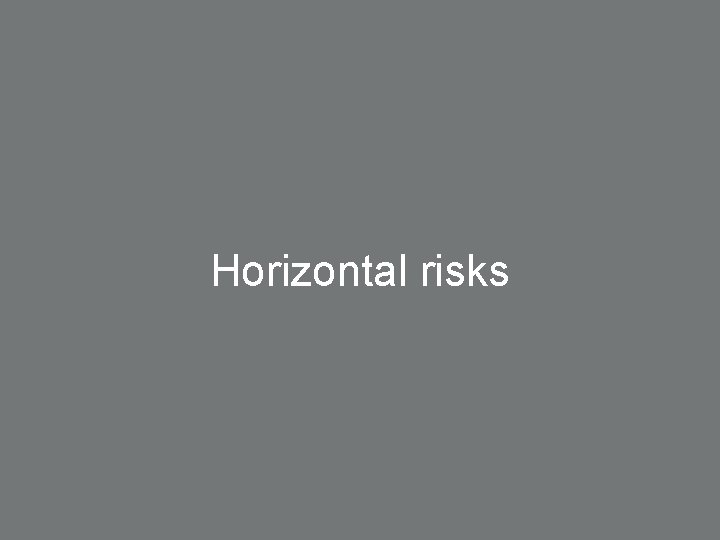 Horizontal risks 13 