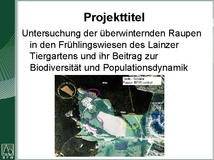 Projekttitel Untersuchung der überwinternden Raupen in den Frühlingswiesen des Lainzer Tiergartens und ihr Beitrag